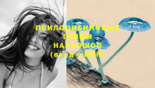 винт Лихославль