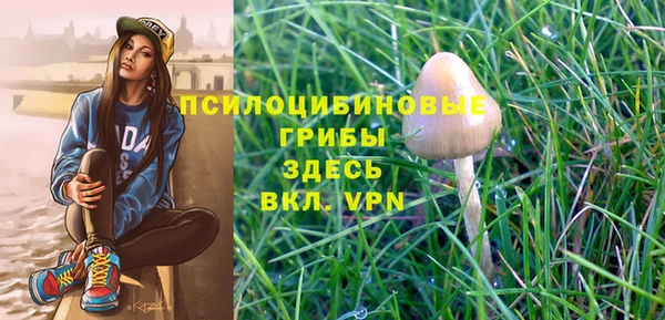 марки nbome Лабытнанги