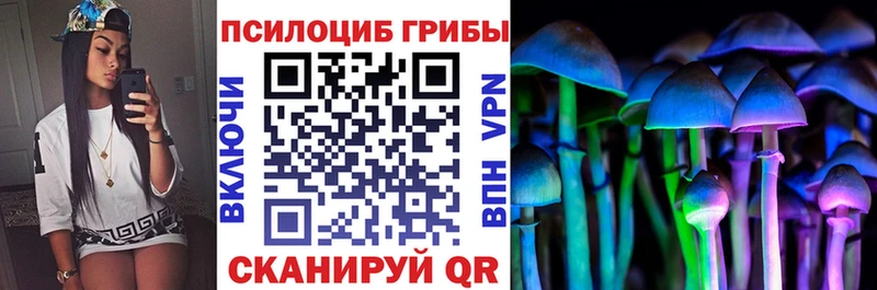 хочу наркоту  Нижнекамск  Галлюциногенные грибы Psilocybine cubensis 