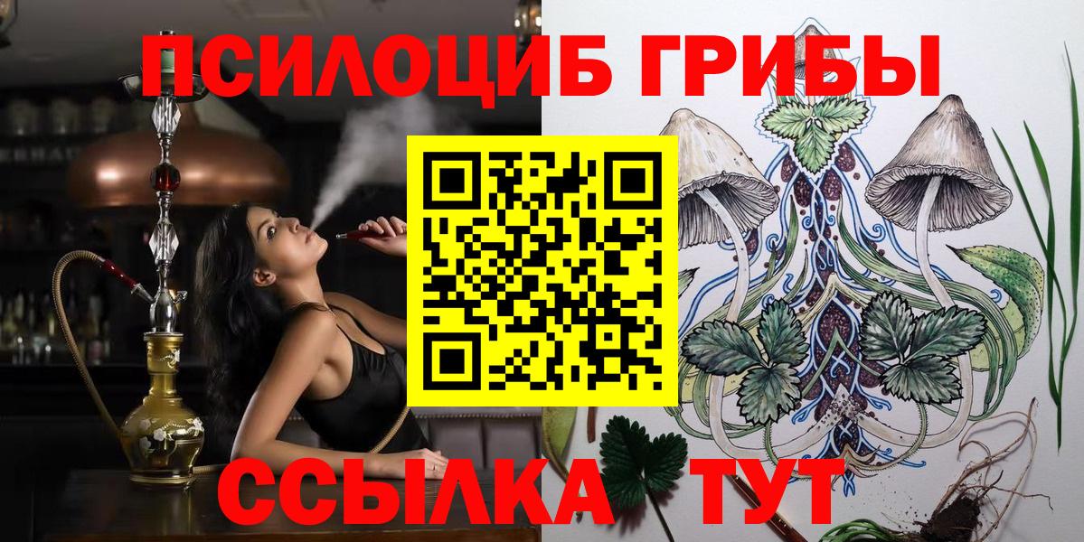 Псилоцибиновые грибы Psilocybine cubensis  Вход с VPN  как найти закладки  Нижнекамск 