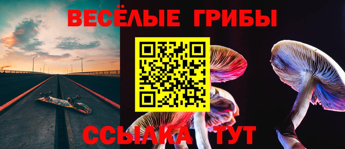 Псилоцибиновые грибы мицелий Нижнекамск
